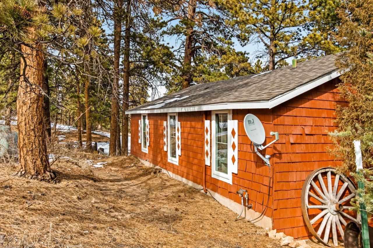 Grandma'S Cabin Έστες Παρκ Εξωτερικό φωτογραφία